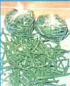 Package and freeze your blanched green beans to enjoy a tasty vegetable during winter.